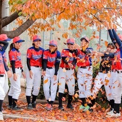 ★★軟式【女子野球】新規メンバー募集！★★