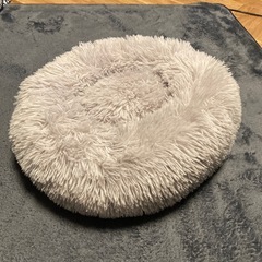 猫用ベッド