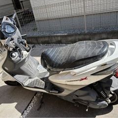 【再投稿】シグナス3型の画像