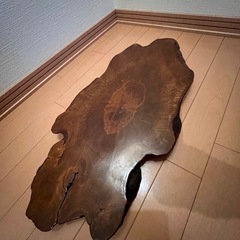 欅の画像