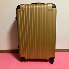 暗唱番号タイプのスーツケース
