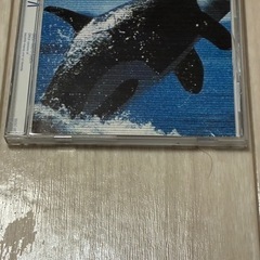 ORCA輪唱カノン