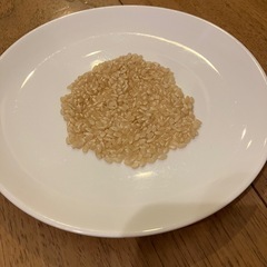 (受付中断)　令和6年　コシヒカリ　玄米　10kgの画像