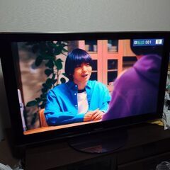 Panasonic プラズマテレビ TH-P50V1