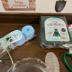 メダカ飼育セットの画像