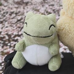 エルフーンのみがわりぬいぐるみを探しています