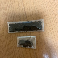松ぼっくり37個、枝付き松ぼっくり3本、アサガオの種13粒、ミニアサガオ200粒の画像