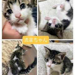 ペア優先♡健康優良５兄妹