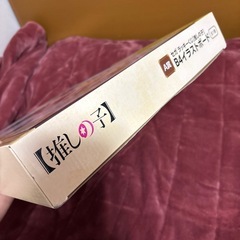セガ ラッキーくじ 推しの子 A賞 イラストボードの画像