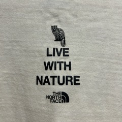 the north face ザノースフェイス　新古品　新作ロンT(XL)の画像