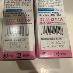 E赤ちゃん　15本　スティック　粉ミルクの画像