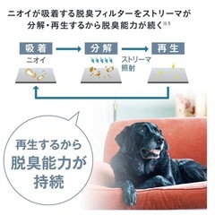 【昨年購入・美品】ダイキン 加湿 空気清浄機の画像