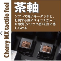 アーキサイト/アーキス　AS-KBPD87/TBK キーボード　Cherry MX 茶軸 ProgresTouch RETRO TKL 黒 [有線]の画像
