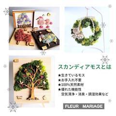 5月のカルチャー教室の画像