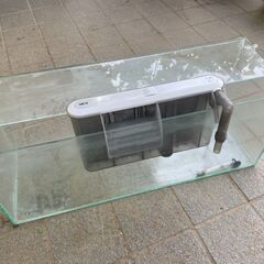 飼育用水槽