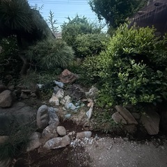 庭石、植木の画像