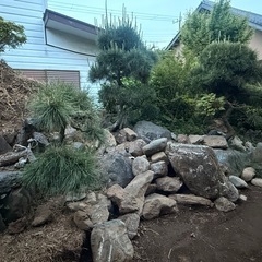庭石、植木の画像