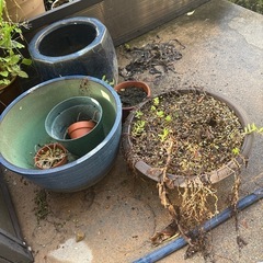 【締切】植木鉢と土