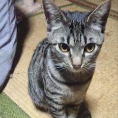 5ヶ月ココちゃん