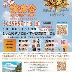 5月11日　保護犬　保護猫　びわこ譲渡会
