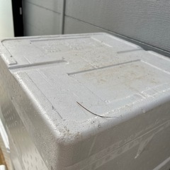 保護猫ハウスの画像