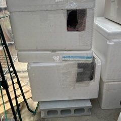 保護猫ハウスの画像