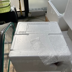 保護猫ハウスの画像