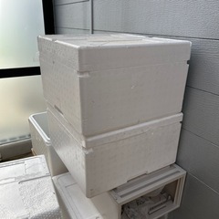 保護猫ハウスの画像