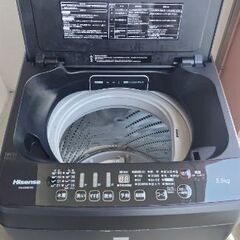 Hisense 5.5kg 洗濯機（ブラック）の画像
