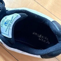 阪神タイガース×Sangacloコラボスニーカー の画像
