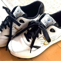 阪神タイガース×Sangacloコラボスニーカー 
