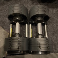 NUO フレックスベル　可変ダンベル20kg 4キロ刻み