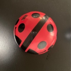 ドイツ製てんとうむしボールの画像