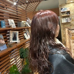 🌿‬パーマモデル募集中🌀✨️￥2,000