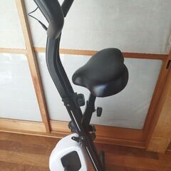 エアロバイク　ティゴラの画像