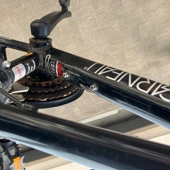 【商品説明】  ルイガノ J22 LOUIS GARNEAU J22 PLUS 22インチ キッズ 子供 自転車
の画像
