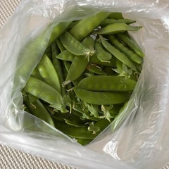 さやえんどう　差し上げますの画像