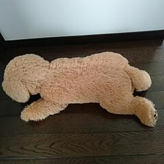 ぬいぐるみの画像