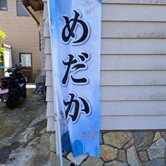 2025/05/07 めだか