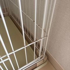 犬用　ゲージの画像