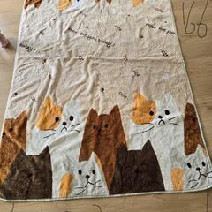 無料 縦166 横123  猫ちゃん カーペット 絨毯 