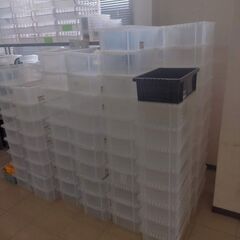 コンテナ大　７０個処分します。