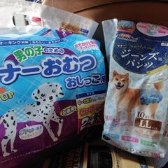 犬マナーおむつの画像