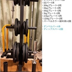 【FitElite】オリンピックバーベル133kgセット
