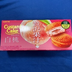 ⭐︎賞味期限2025年7月⭐︎カスタードケーキ白桃