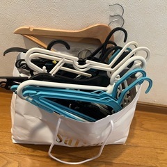 ハンガー　無選別