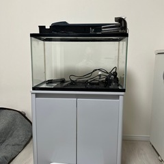 水槽セット