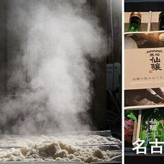 【全国縦断講座】黒松仙醸飲み比べで自分好みの日本酒を見つけ…