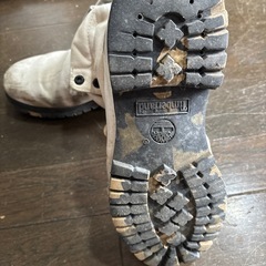 ティンバーランドの画像