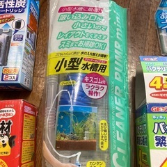 金魚セットの画像